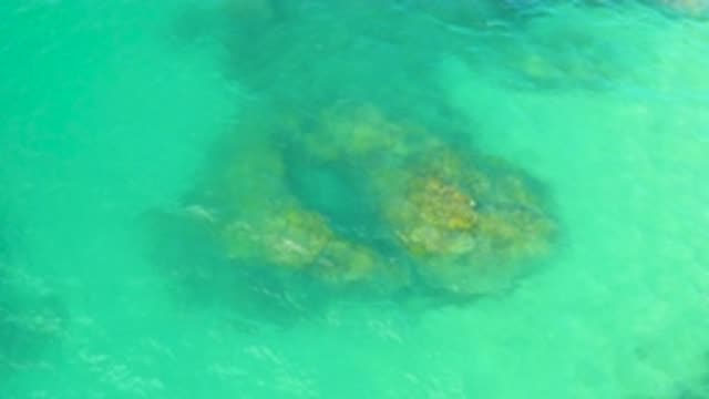 LAGUNA BEACH BCS MEXICO-2020: Green Ocean Crystal Clear You Can See The Rocks
