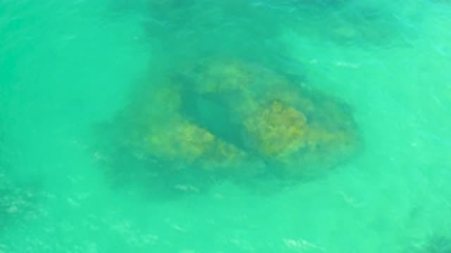 M12-20-1097-08-02-20-2020-laguna-beach-bcs-mexico-DJI_0889_0003.mp4