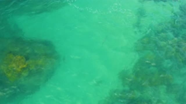 M12-20-1098-08-02-20-2020-laguna-beach-bcs-mexico-DJI_0890_0001.mp4