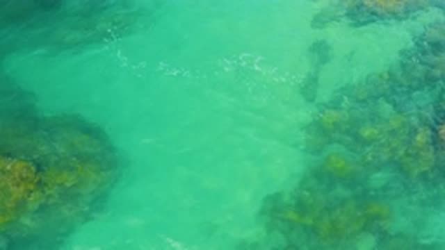 LAGUNA BEACH BCS MEXICO-2020: Clear Waves Over Coral And Rocks