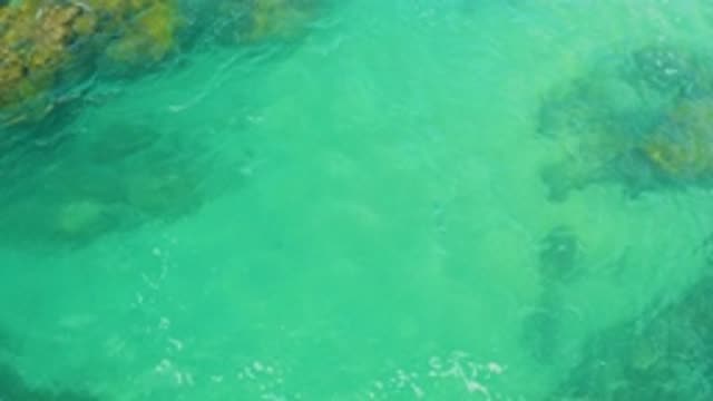 M12-20-1100-08-02-20-2020-laguna-beach-bcs-mexico-DJI_0890_0003.mp4