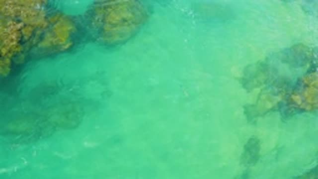 M12-20-1101-08-02-20-2020-laguna-beach-bcs-mexico-DJI_0890_0004.mp4