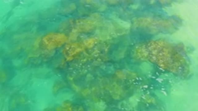 M12-20-1103-08-02-20-2020-laguna-beach-bcs-mexico-DJI_0891_0001.mp4