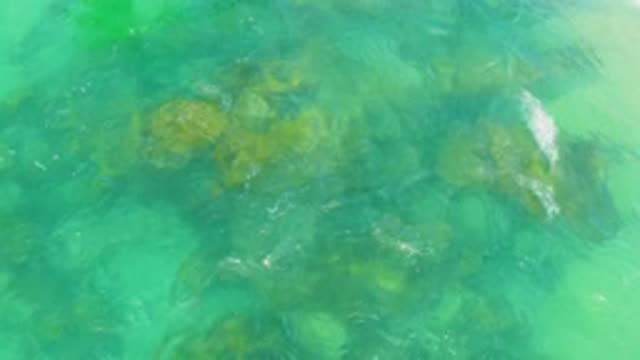LAGUNA BEACH BCS MEXICO-2020: Coral Reefs Situated In Crystal Clear Waters