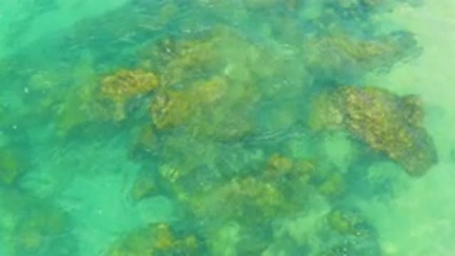 LAGUNA BEACH BCS MEXICO-2020: Brown Solid Rocks Sinking Inside The Crystal Clear Sea