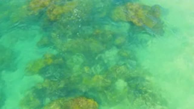 LAGUNA BEACH BCS MEXICO-2020: Surface View Of Calm Ocean Water With Ripples