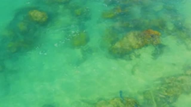LAGUNA BEACH BCS MEXICO-2020: Swimming Fishes On Rocks
