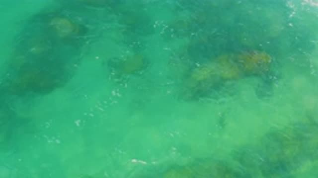 LAGUNA BEACH BCS MEXICO-2020: Hard Rock In The Blue Sea Water Some Of It Sinking