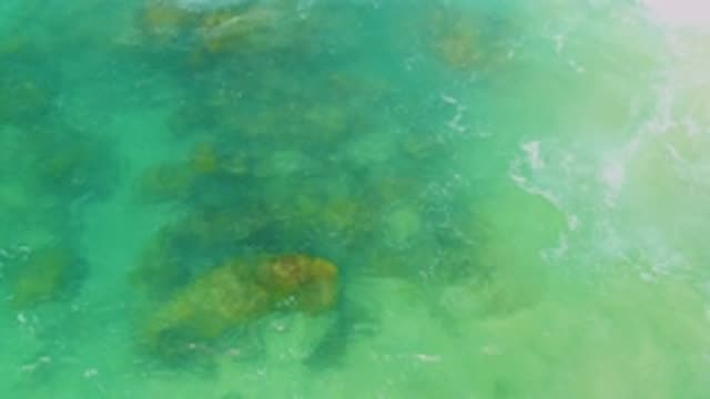 LAGUNA BEACH BCS MEXICO-2020: Underwater Movement In A Particular Place Of A