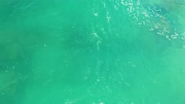M12-20-1113-08-02-20-2020-laguna-beach-bcs-mexico-DJI_0893_0001.mp4