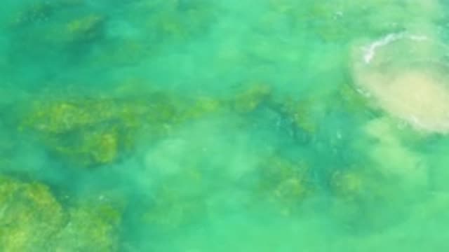 LAGUNA BEACH BCS MEXICO-2020: A Clean And Green Ocean With Rocks Underneath