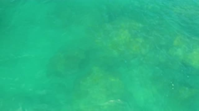 LAGUNA BEACH BCS MEXICO-2020: Peaceful Relaxing Green Water Natural Reef Appears