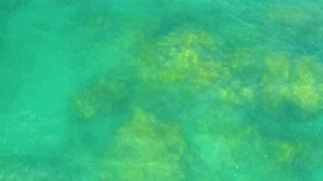 M12-20-1119-08-02-20-2020-laguna-beach-bcs-mexico-DJI_0894_0003.mp4
