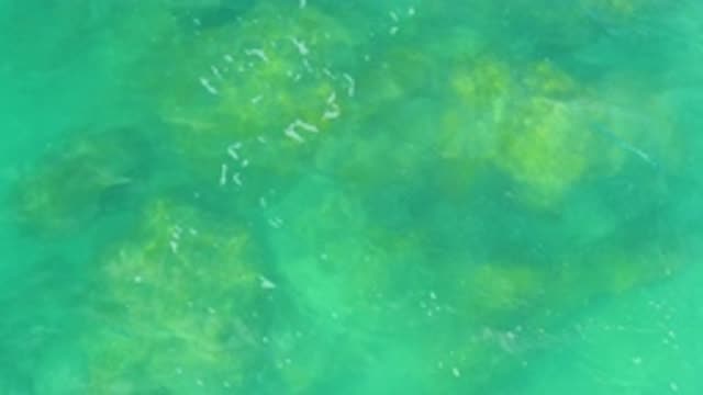 LAGUNA BEACH BCS MEXICO-2020: The Water Movement Of A Sea Near Plant Area