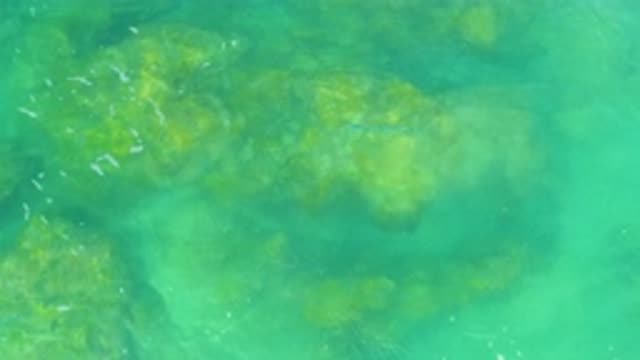 LAGUNA BEACH BCS MEXICO-2020: A Blue Sea Water With Mild Waves