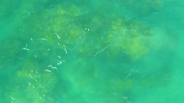 M12-20-1125-08-02-20-2020-laguna-beach-bcs-mexico-DJI_0895_0006.mp4
