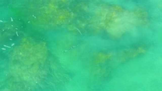 LAGUNA BEACH BCS MEXICO-2020: Ocean Reef With Clear Water And Gentle Waves