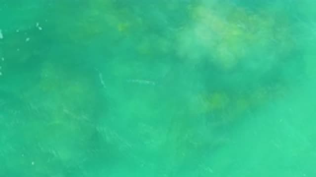 M12-20-1127-08-02-20-2020-laguna-beach-bcs-mexico-DJI_0895_0008.mp4
