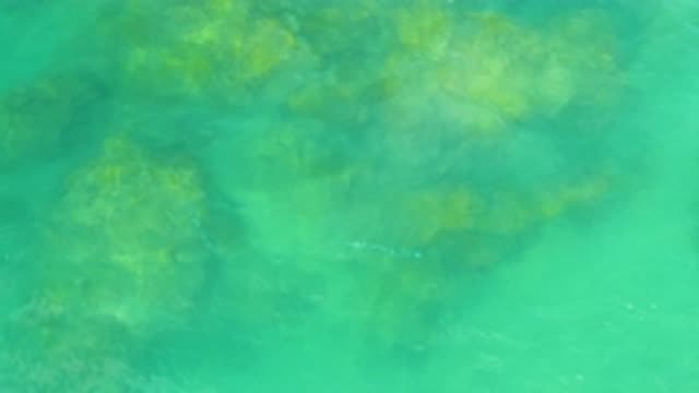 LAGUNA BEACH BCS MEXICO-2020: Crystal Clear Water With Gentle Waves