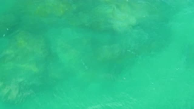 M12-20-1130-08-02-20-2020-laguna-beach-bcs-mexico-DJI_0895_0011.mp4