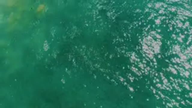LAGUNA BEACH BCS MEXICO-2020: Sea Rippled By The Wind And Kissed By The Sand