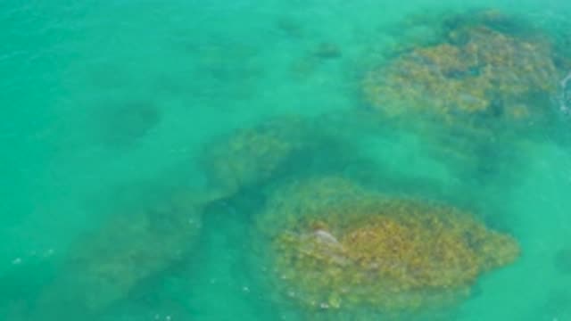 LAGUNA BEACH BCS MEXICO-2020: Beautiful Reef Surrounded By Crystal Clear Water