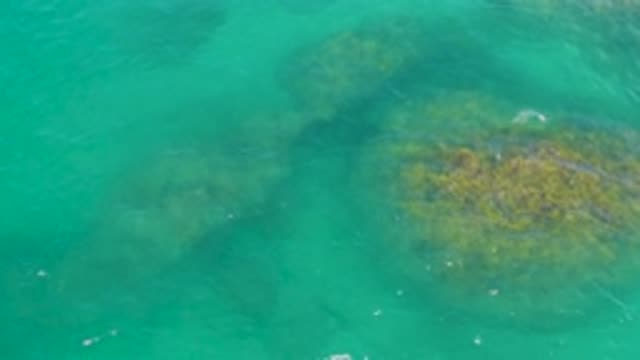 LAGUNA BEACH BCS MEXICO-2020: Aerial Footage Of Lagoon In Mexico