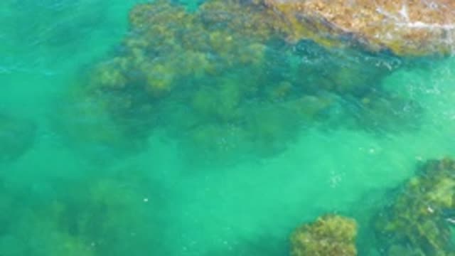 LAGUNA BEACH BCS MEXICO-2020: An Aerial View Of The Ocean's Clear Water And Crashing Waves