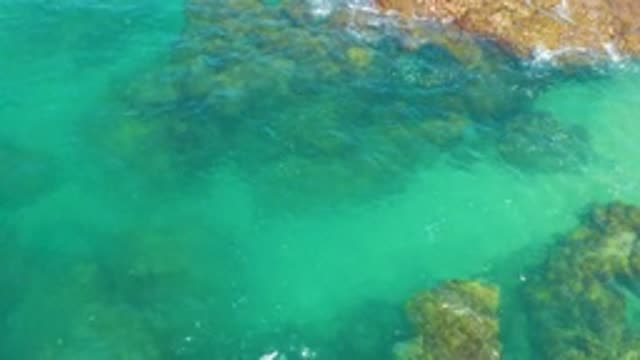M12-20-1148-08-02-20-2020-laguna-beach-bcs-mexico-DJI_0902_0002.mp4
