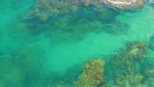 M12-20-1149-08-02-20-2020-laguna-beach-bcs-mexico-DJI_0902_0003.mp4