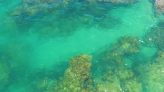 LAGUNA BEACH BCS MEXICO-2020: Sea Green Waves Refracting Sparking Light Over