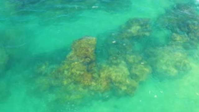 LAGUNA BEACH BCS MEXICO-2020: Beautiful Clear Ocean With A View Of Coral Reefs