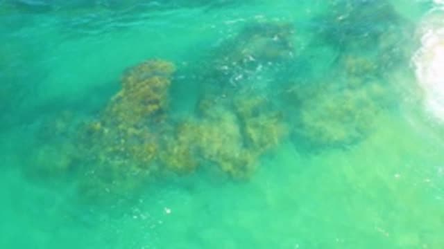 LAGUNA BEACH BCS MEXICO-2020: Rocks On A Blue Sea Water