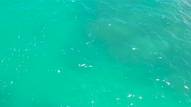 LAGUNA BEACH BCS MEXICO-2020: Blue Crystal Clear Sea Water With Mild Waves