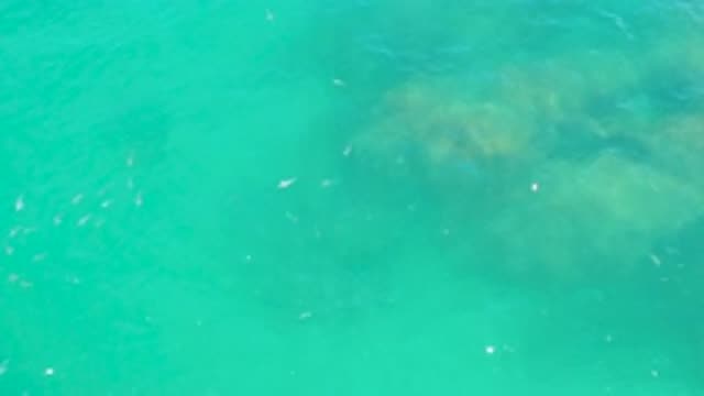 LAGUNA BEACH BCS MEXICO-2020: Clear Blue Water Ripples Over Rocks And Small