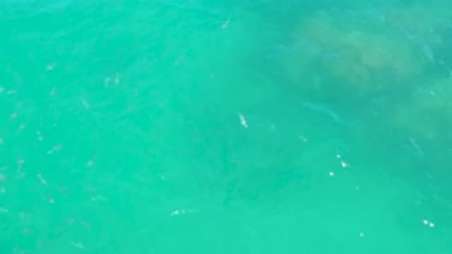 LAGUNA BEACH BCS MEXICO-2020: An Amazing Crystal Clear Water