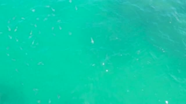 LAGUNA BEACH BCS MEXICO-2020: Glimpse Of Crystalline Sea Rippled By The Wind