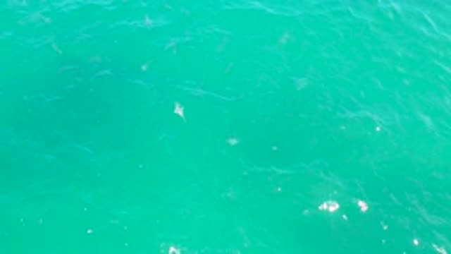 LAGUNA BEACH BCS MEXICO-2020: Light Catching The Waves And Movement Of Clear Water