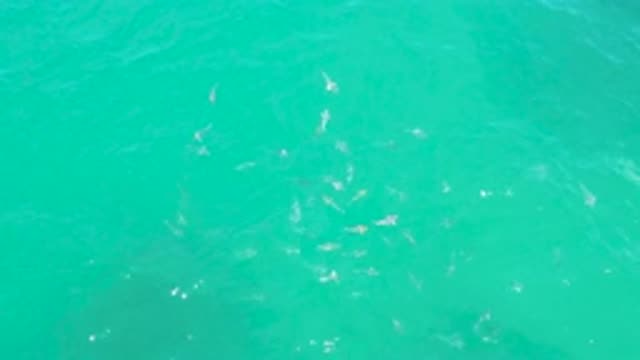 LAGUNA BEACH BCS MEXICO-2020: Sea Kissed By The Sun And Rippled By The Wind