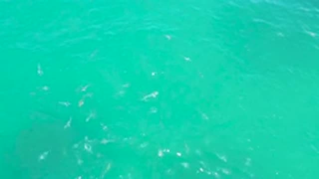 LAGUNA BEACH BCS MEXICO-2020: Calm Relaxing Crystal Blue Ocean Waves Gently