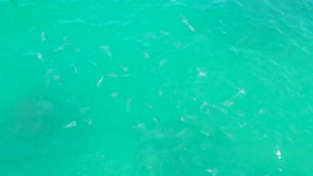 LAGUNA BEACH BCS MEXICO-2020: Aqua Blue Water In Motion With White Caps Rippling
