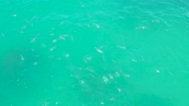 LAGUNA BEACH BCS MEXICO-2020: Gorgeous Turquoise Water