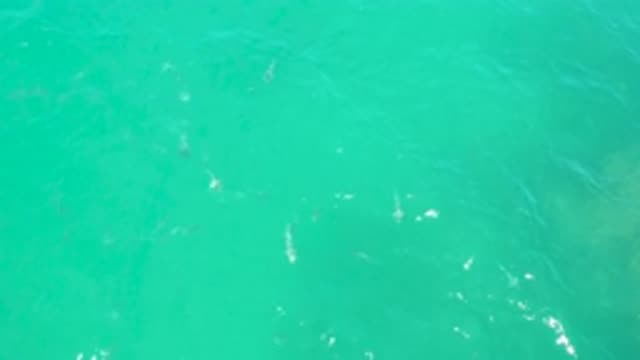 LAGUNA BEACH BCS MEXICO-2020: A Beautiful And Light Blue Water