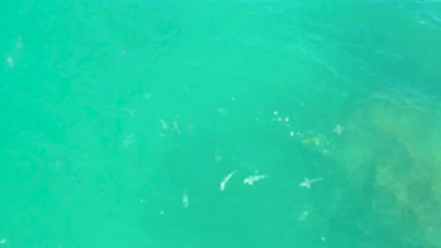 LAGUNA BEACH BCS MEXICO-2020: Bright Sunlight Blue Crystal Clear Sea Water Hard