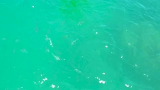 LAGUNA BEACH BCS MEXICO-2020: Crystal Clear Blue Sea Water