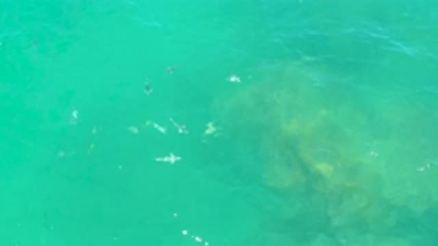 LAGUNA BEACH BCS MEXICO-2020: Sea Waves Floating And Focusing Under Sea