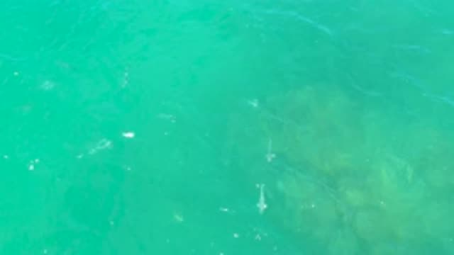 LAGUNA BEACH BCS MEXICO-2020: Under The Crystal Clear Sea Water Bright Sunlight