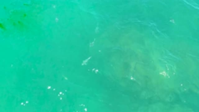 LAGUNA BEACH BCS MEXICO-2020: A Beautiful And Calming Water