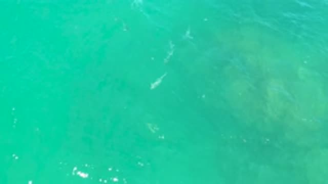 LAGUNA BEACH BCS MEXICO-2020: Crystal Clear Blue Water Flowing Graciously As The Waves Roll