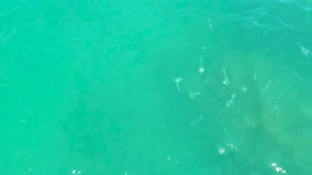 LAGUNA BEACH BCS MEXICO-2020: Gentle Waters Rippling